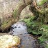 Abbeylands Glen