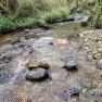 Abbeylands Glen