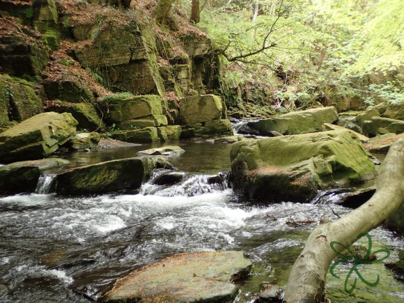 Ballaglass Glen