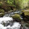 Ballaglass Glen