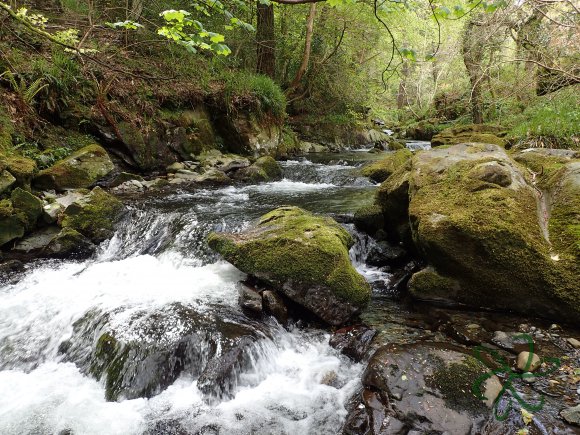 Ballaglass Glen