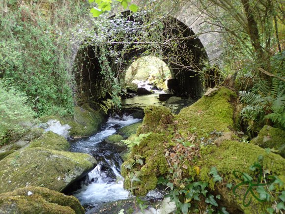 Ballaglass Glen