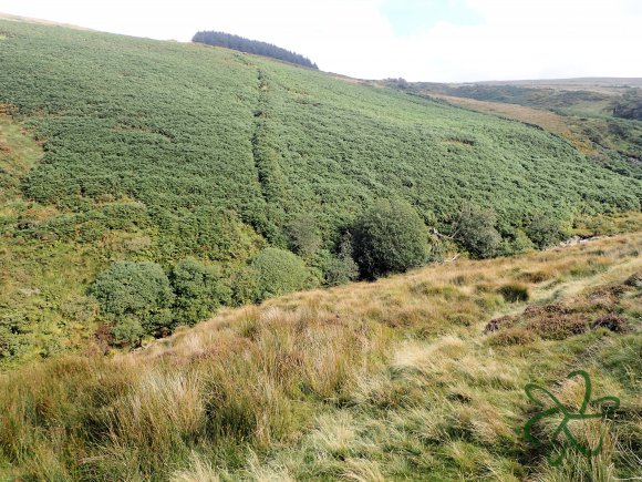 At Block Eairy Reservoir