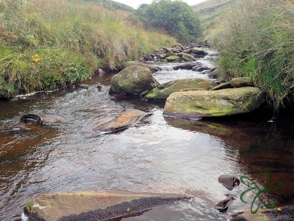 Tenkara water at Block Eairy