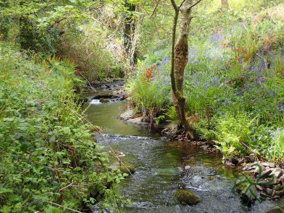 Above the Colby Glen