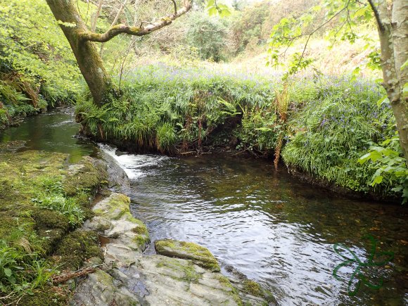 Higher Pools on the Colby River