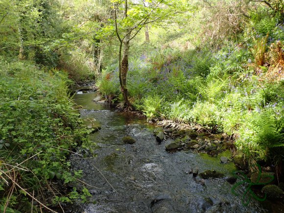 Colby River