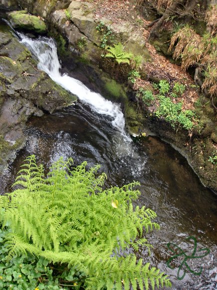 A Small Pool in Colby