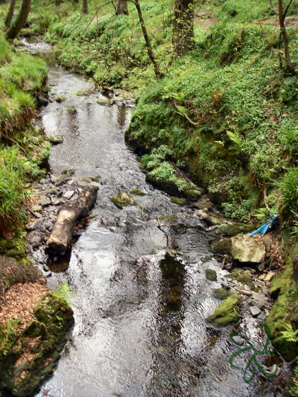 Colby Glen Pools