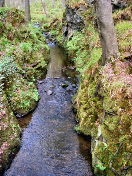 Tight Glide in Colby Glen