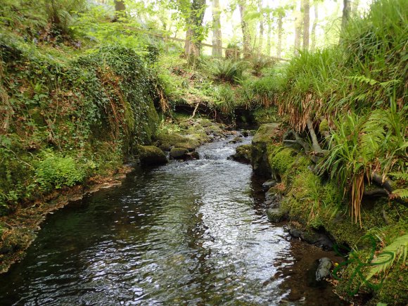 Colby River