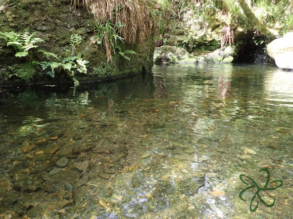 Colby Glen Top Pool