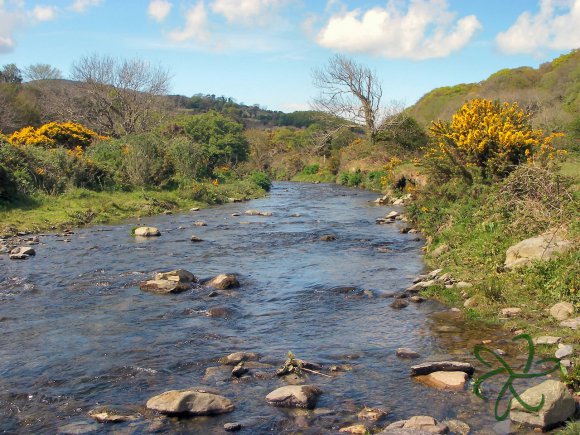 Cornaa River