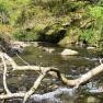 Cornaa River