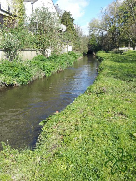 River Dhoo