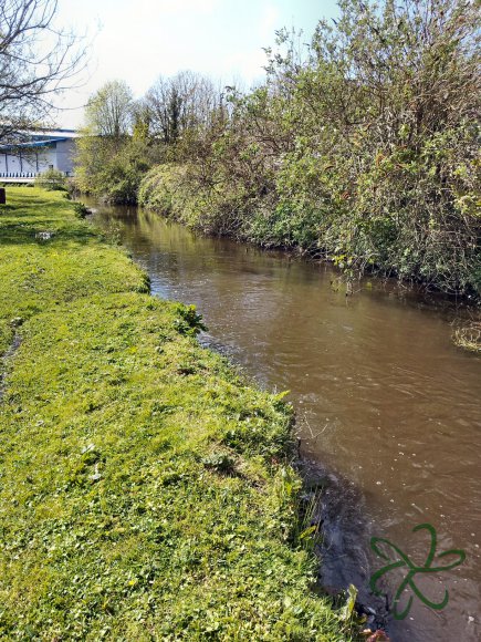 River Dhoo