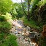 Dhoon Glen below the big waterfall