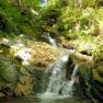 Dhoon Glen below the big waterfall