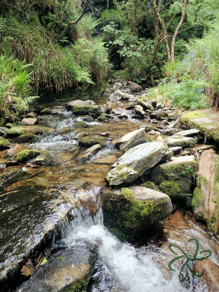 Dhoon Glen below the big waterfall