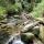 Dhoon Glen below the big waterfall