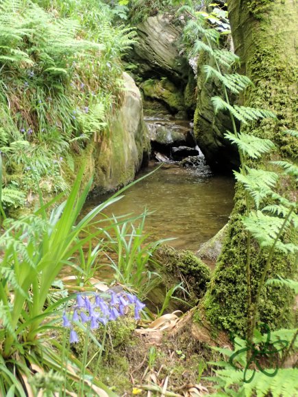 Dhoon Glen below the big waterfall