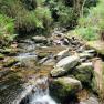 Dhoon Glen below the big waterfall