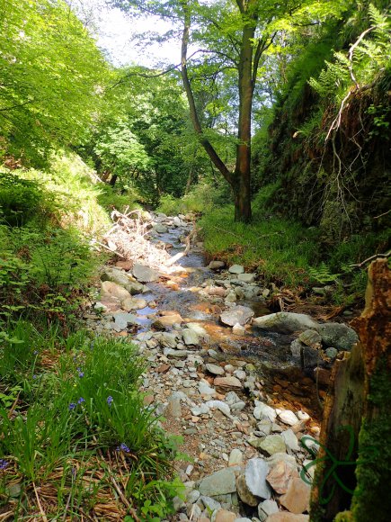 Dhoon Glen below the big waterfall