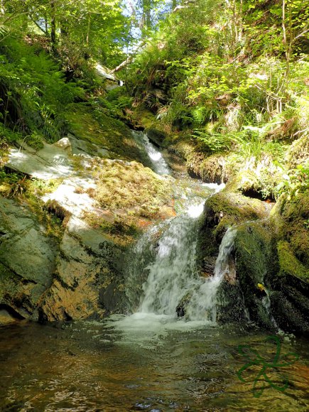 Dhoon Glen below the big waterfall