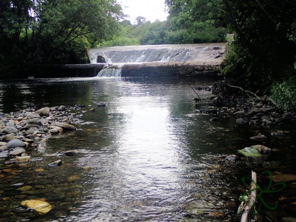 River Galss - Cement Pond