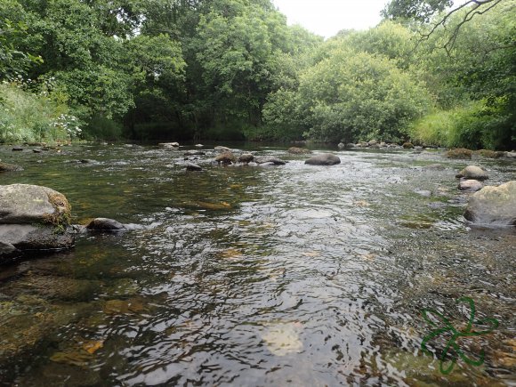 River Glass Junction Pool