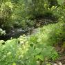 River Glass - side stream