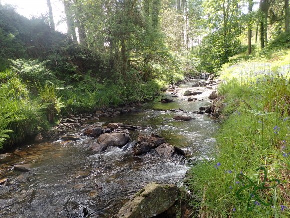 Glen Maye River - Rushen Glen