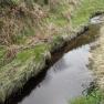 Glen Maye River above Glen Rushen