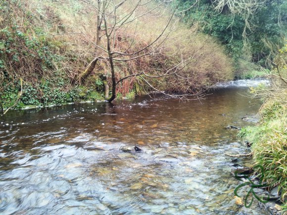 Glen Maye River at Glen Rushen