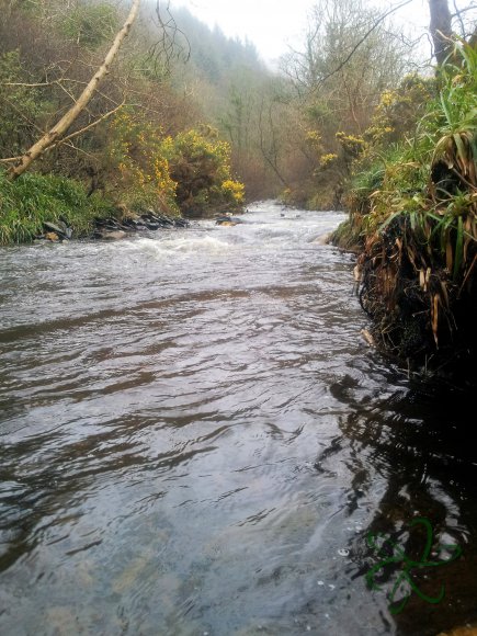 Glen Maye River at Glen Rushen