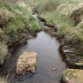 Glen Maye River above Glen Rushen