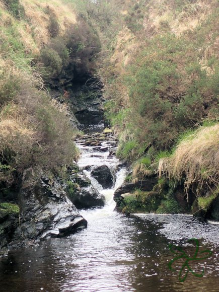 Glen Maye River above Glen Rushen