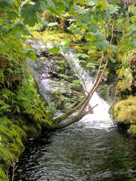 Glen Maye River above Glen Rushen