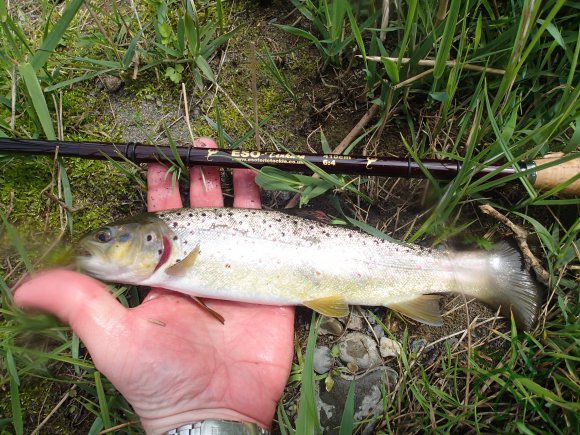 Glen Maye River at Glen Rushen