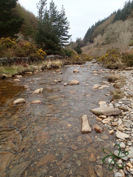 Glen Maye River at Glen Rushen