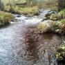 Glen Maye River at Glen Rushen