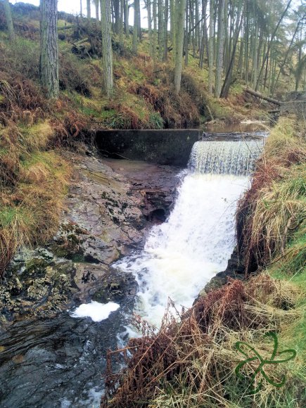 Glen Maye River at Glen Rushen Weir