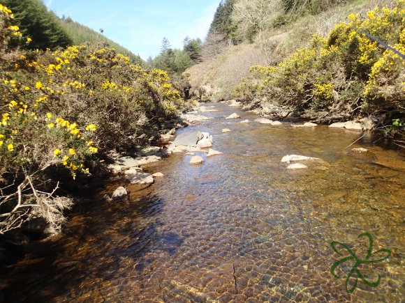 Glen Maye River at Glen Rushen