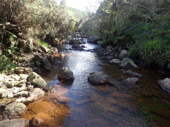 Rushen Mines