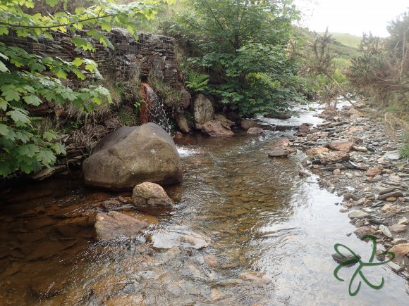 Glen Maye River - Rushen Glen