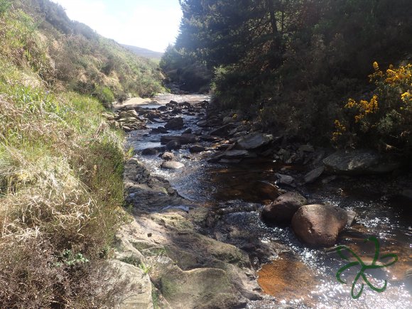 Rushen Mines