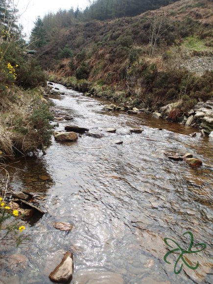 Glen Maye River at Glen Rushen