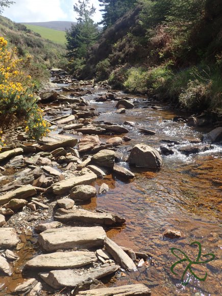 Rushen Mines