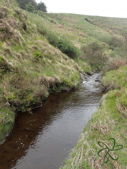 Glen Maye River above Glen Rushen