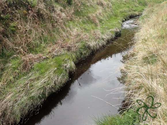 Glen Maye River above Glen Rushen